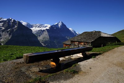 Šveicarijos Alpės, kalnai