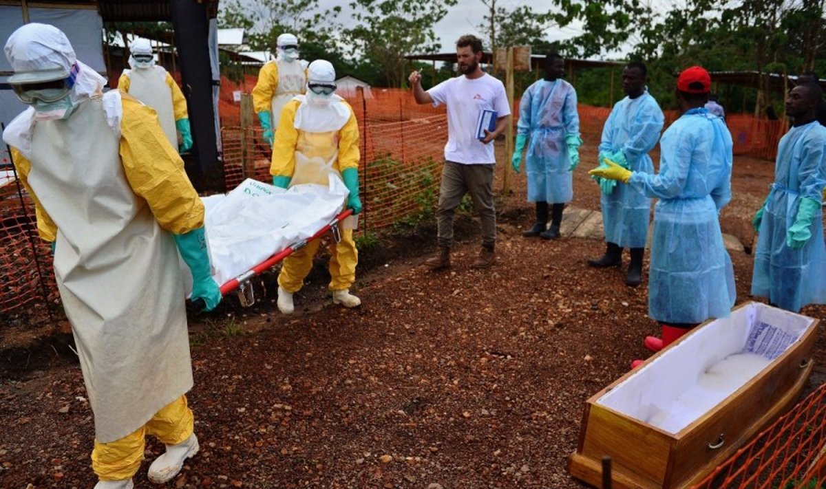 Nešama ebolos viruso auka