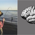 Ką veikia mūsų smegenys, kol žvejojame?