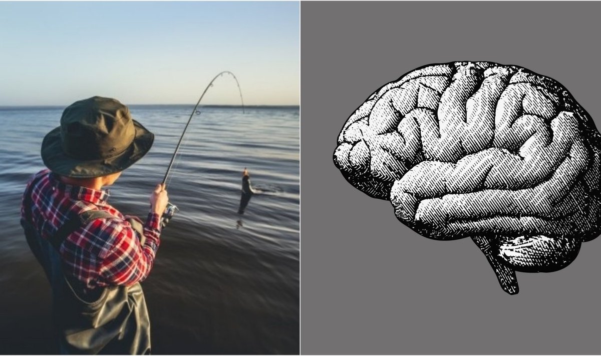 Žvejys ir smegenys