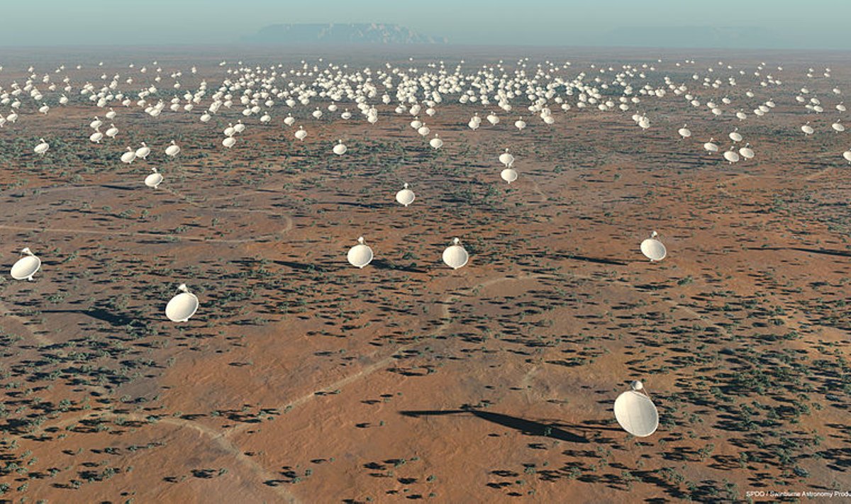Square kilometer array teleskopų masyvas
