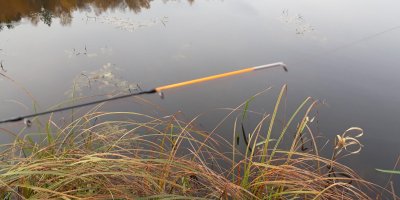 Dažniausiai užtenka 0,75 -1 uncijos lenkimo testą turinčios, picker dugninės meškerės viršūnėlės