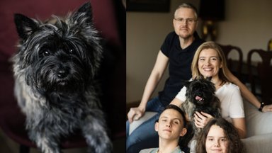 Lietuvoje menkai pažįstamos veislės šunį auginanti Berta: jis yra terapinis šuo – neleis nei pagulėti, nei savęs pagailėti
