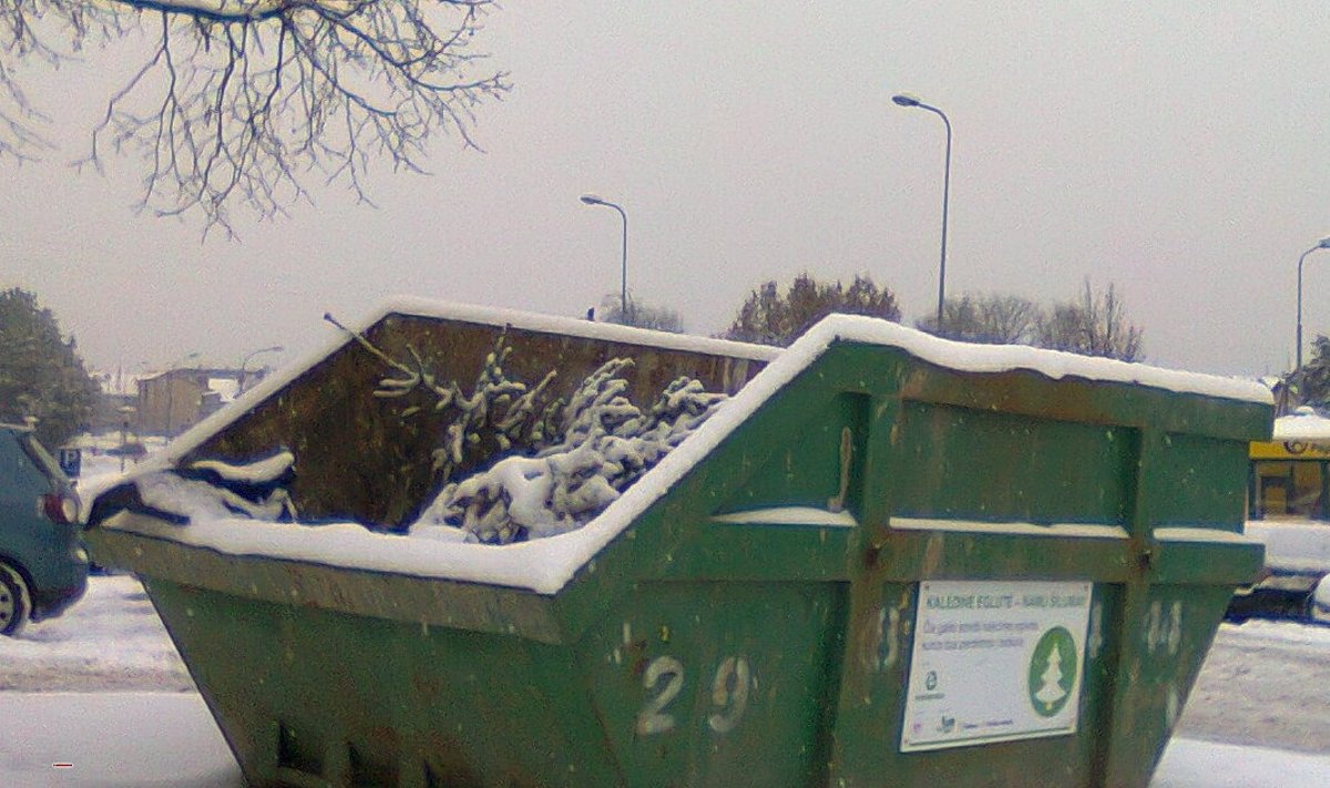 Tokie konteineriai eglutėms stovi Vilniuje, Klaipėdoje, dar keliolikoje mažesnių Lietuvos miestų