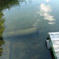 Nemalonus radinys: ežere – vamzdis, o aplink jį – baisi smarvė