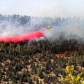 Prie Jeruzalės kilus dideliam miškų gaisrui evakuotos gyvenvietės