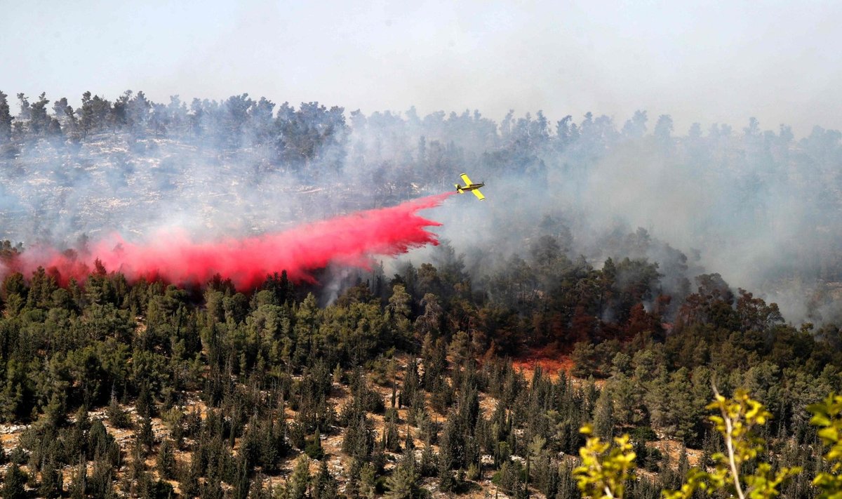 Prie Jeruzalės kilus dideliam miškų gaisrui evakuotos gyvenvietės