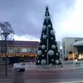 Lietuvoje įžiebta pirmoji Kalėdų eglė