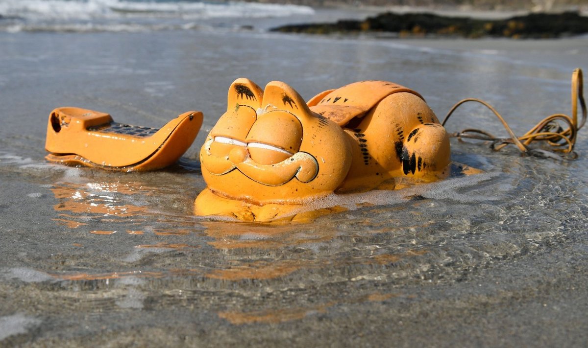 Garfieldo telefonai Prancūzijos pakrantėje.