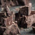Vokietijos policija pričiupo 60 kilogramų šokolado iš parduotuvių išnešusią porelę