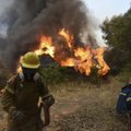 Graikijos saloje kilus naujam miško gaisrui evakuojami žmonės