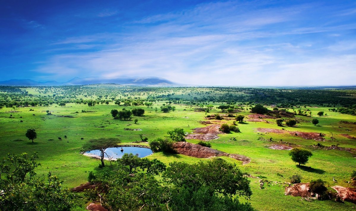 Serengečio nacionalinis parkas, Tanzanija