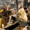 Netoli Kalifornijos valstijos sostinės išplito naujas didelis miško gaisras