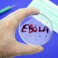 Šantažuotojai grasina Čekijos vyriausybei išplatinsią Ebolos virusą