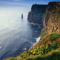 Mohero uolos, tapusios lankomiausiu Airijos gamtos stebuklu
