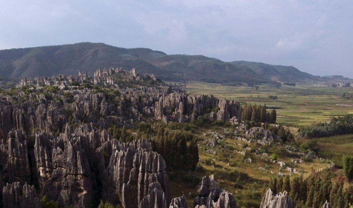 Šilino akmeninis miškas, Junanas (Kinija)