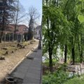 Moteris apie iškirstus medžius sostinėje: miesto plėtra žaliųjų erdvių sąskaita