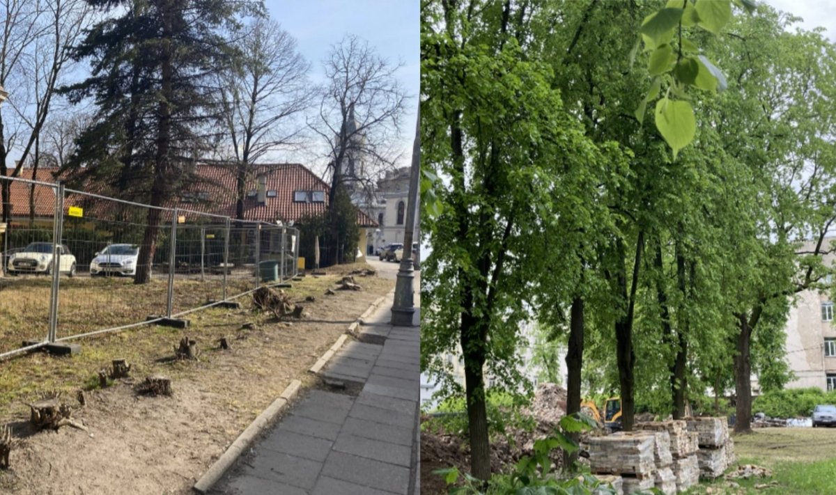 Skaitytojos atsiųstos nuotraukos dėl iškirstų medžių Vilniuje