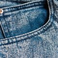 Baltarusiai ruošia džinsų kolekciją iš lino