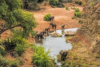 Kriugerio nacionalinis parkas, Pietų Afrikos Respublika