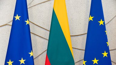 Литва официально приняла председательство в Комитете Министров Совета Европы