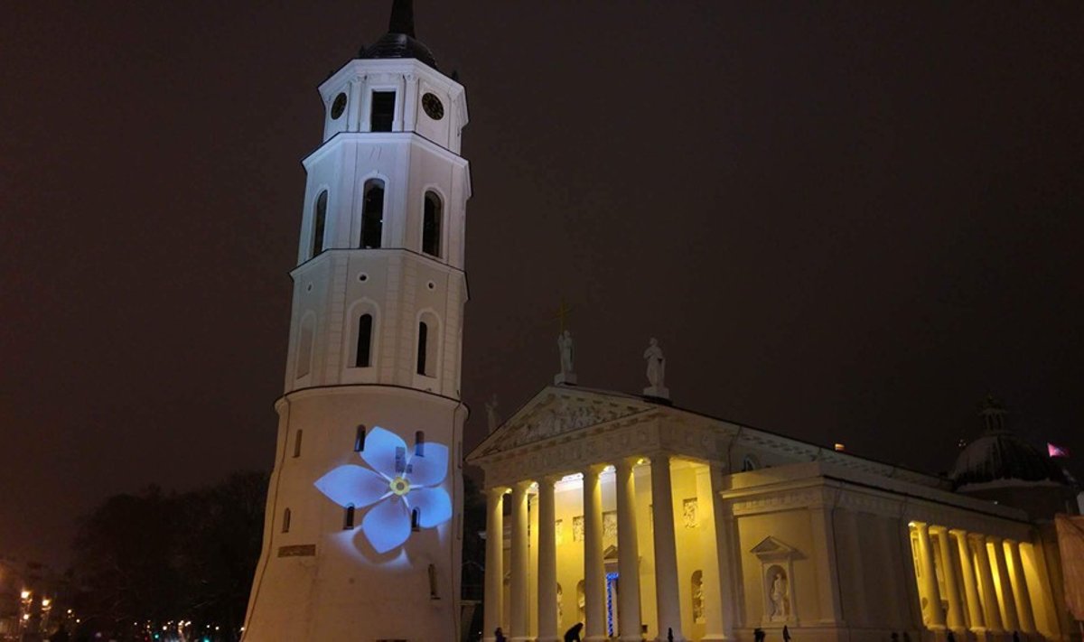 Forget-me-not on Vilnius Cathedral. Photo by Kristina Sporychina