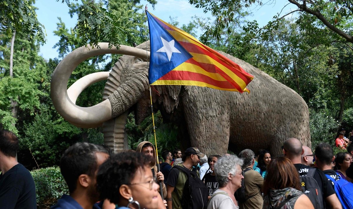 Katalonų separatistai Barselonoje rengia eitynes
