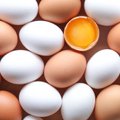 Balti ar rudi kiaušiniai: kurie geresni?