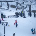 Во время сильных снегопадов в Риге вводятся бесплатные "снежные билеты"