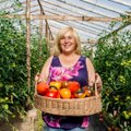 80 pomidorų veislių auginanti moteris papasakojo, kaip auginti naujausias veisles