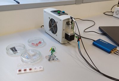 Membraniniai ir vienkartinio tipo biojutiklių elektrodai, autonominė elektrocheminės celės sistema  
