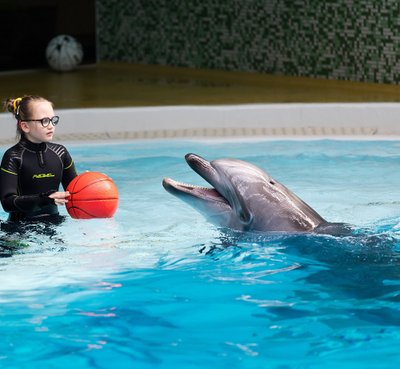 Delfinų terapija