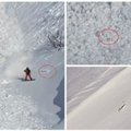Neįtikėtina: kiškis išsigelbėja per sniego griūtį