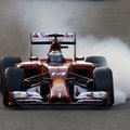 „McLaren“ paskelbė apie F. Alonso sveikatą ir avarijos priežastis