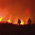 Argentinoje dėl siaunčiančių gaisrų, išdegė mažiausiai 14 tūkstančių hektarų plotas