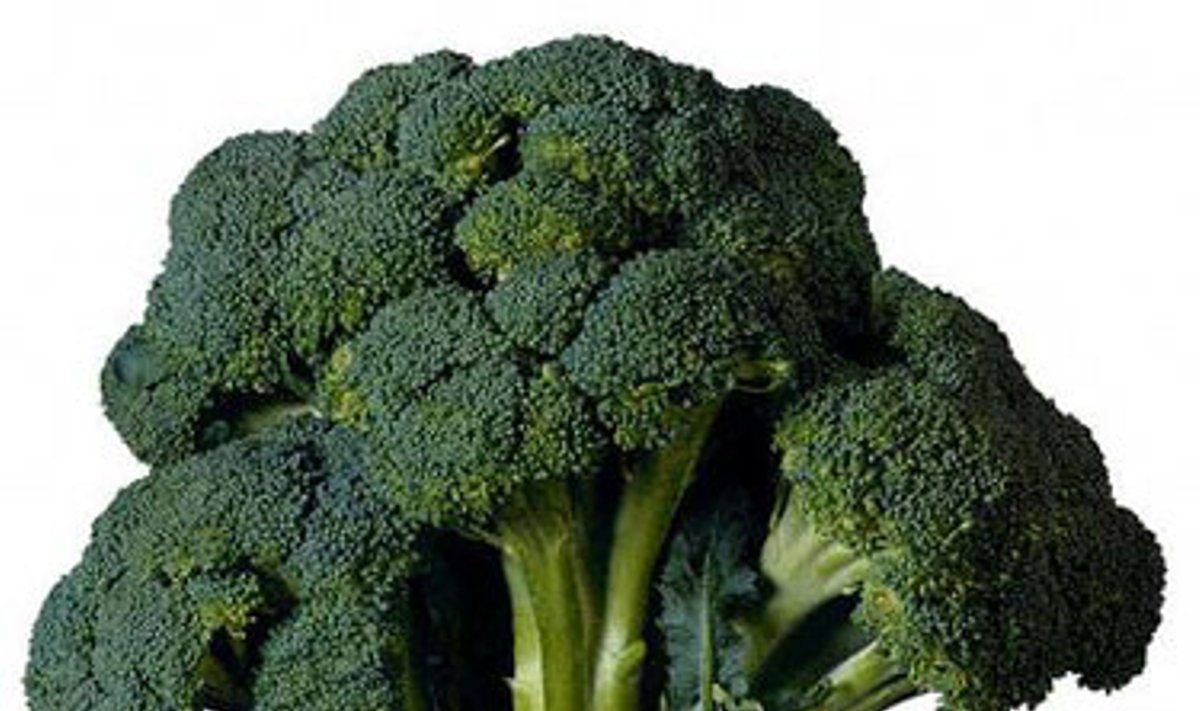 Brokoliai, daržovės