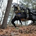 Pristatytas naujasis robotas-šuo dar vikresnis ir greitesnis