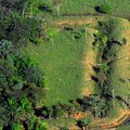 Amazoniją tyrinėjęs lietuvis: senovėje žmonės naudojo tropinius miškus, bet jų nenaikino