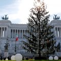 Romos valdžia reikalaus kompensacijos už nudžiūvusią Kalėdų eglę