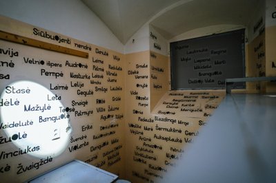 Kalėjimo kameroje - keli šimtai įvairiausių moterų slapyvardžių, įkvėptų Lietuvos gamtos, gyvūnų, garsų, metų laikų, mitologijos