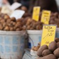 Россия запретила импорт картофеля из Литвы и других стран ЕС