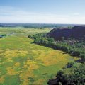 Australija lietuvės akimis: jei į Australiją, tai būtinai į Kakadu