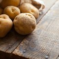 Stebuklingos bulvių gydomosios savybės nuo kosulio, slogos, sąnarių skausmo