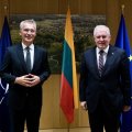 Su NATO vadovu susitikęs Anušauskas: Aljansas pasirengęs reaguoti į migracijos krizę