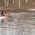 Kėdainiečius sutrikdė neįprastas vaizdas: upę miesto centre skrodė vandens motociklu