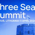 Саммит "Триморья" - клуб поддержки восточного фланга НАТО