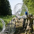 Эстония поможет Литве устанавливать защитный барьер на границе с Беларусью
