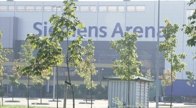Sudėtingomis sąlygomis augančios liepos prie „Siemens“ arenos 