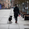Teisme užvirė neregėta kova dėl šuns: kad susigrąžintų augintinį iš buvusios draugės, vilnietis nusprendė eiti iki galo