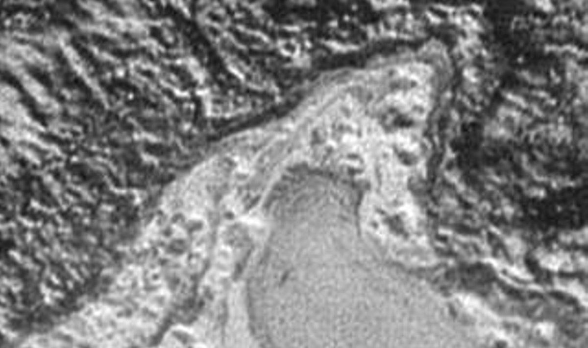 Plutone užfiksuotos ežero liekanos